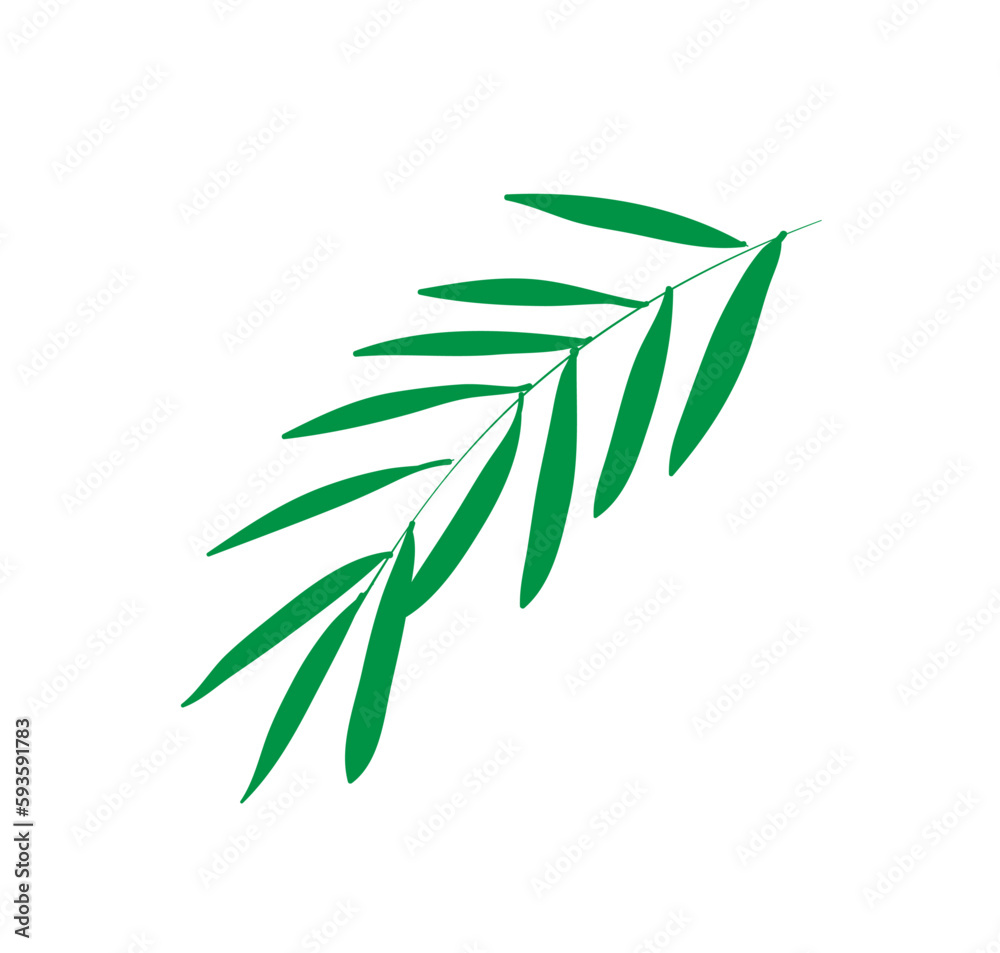 Fototapeta premium leaves