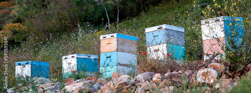 beehives at sundown on coast of peloponnese near the sea in greece