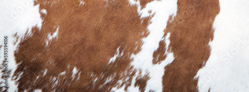 red and white pattern on cowhide
