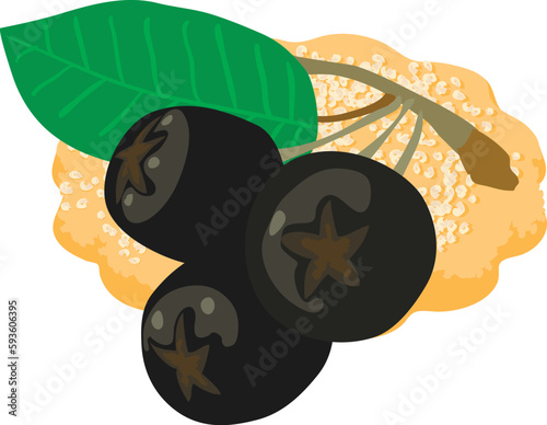 Chokeberry dessert icon isometric vector. Fresh ripe chokeberry and fruit cookie. Dessert, breakfast, food concept