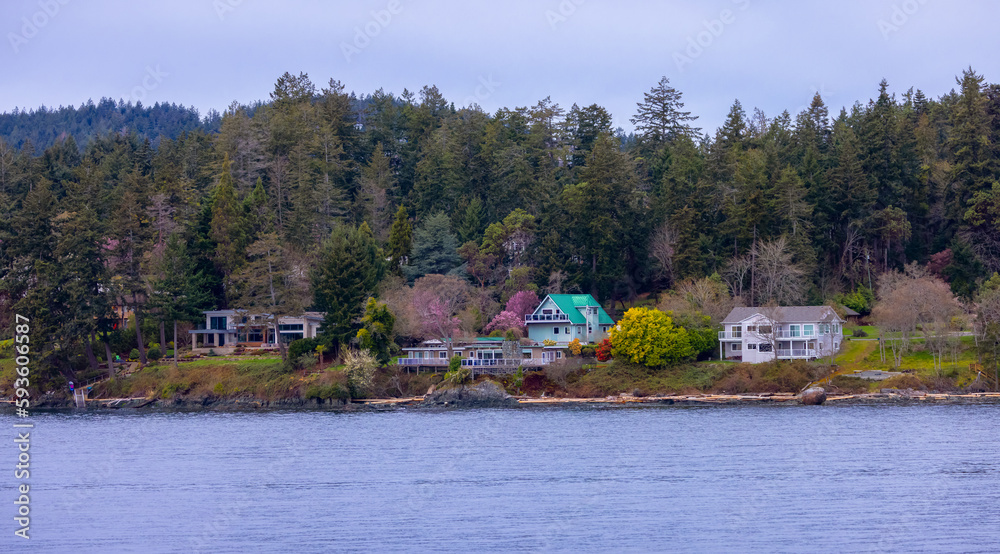 Homes on the Pacific Ocean Coast. Nanaimo, Vancouver Island, British Columbia, Canada.