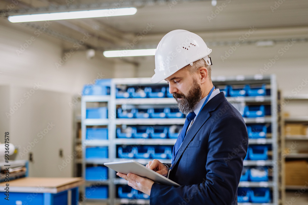Manager in suit controlling goods in a warehouse. Manager in suit controlling goods in a warehouse.