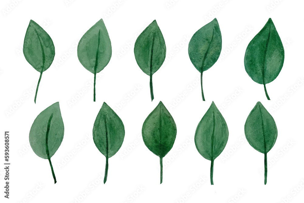 Fototapeta premium Watercolor designer elements set collection of green leaves, greenery art foliage natural leaves herbs in watercolor style. Decorative beauty elegant illustration for design