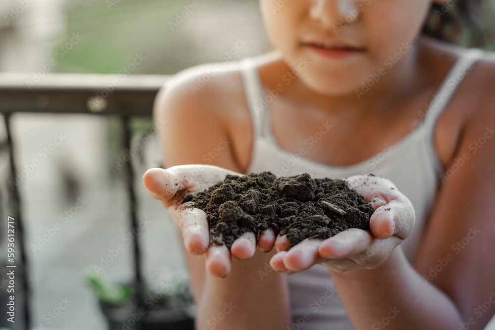 detailed view of the hands of a Latina brunette girl, holding in her hands some soil for planting detailed view of the hands of a Latina brunette girl, holding in her hands some soil for planting
