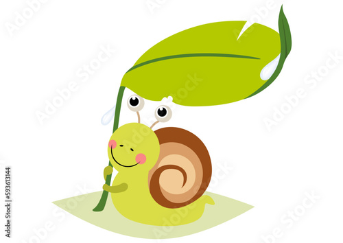 Funny snail sheltering from rain under green leaf