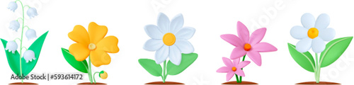 Garden flower 3d elements, flowers realistic with leaves in ground. Isolated floral elements, blooming chamomile snowdrop vector set