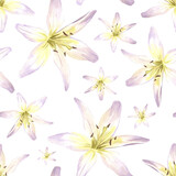 Lilies. Seamless pattern of white flowers. Hand drawn watercolor illustration for packaging design, wallpaper, textile.