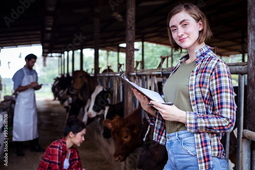 Man and woman managers using tablet on diary farm, agriculture industry. Diversity of young farm workers check the cows and record everything in agronomic programs on chartboard.