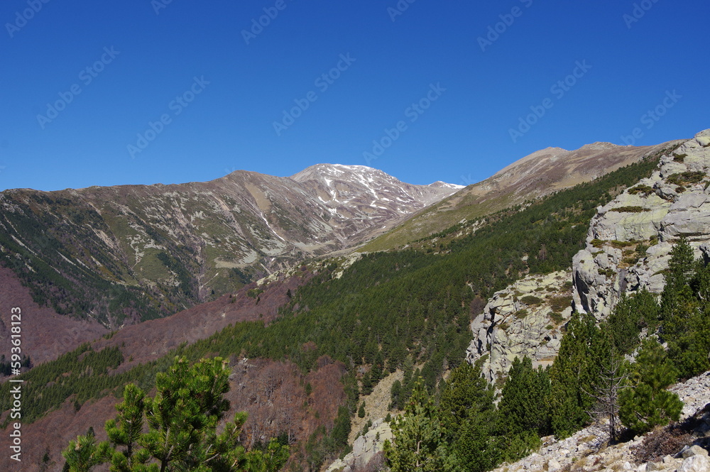 Montagne du Très Vents dans le vallespir dans les Pyrénées Orientales