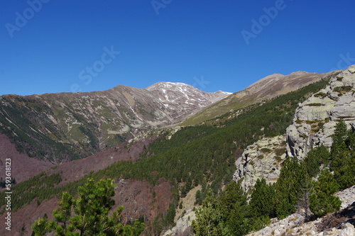 Montagne du Très Vents dans le vallespir dans les Pyrénées Orientales