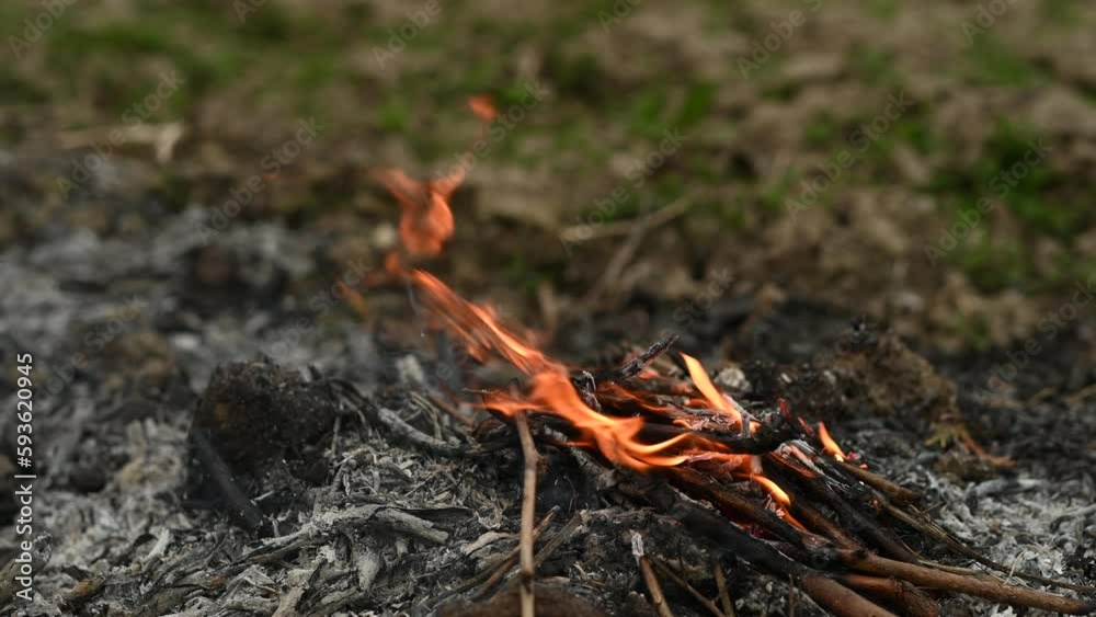 Catastrophic effects of fire during drought. Fire destroys nature and how hard it is to face it. It is important to avoid smoking in the woods and at home. Catastrophic effects of fire during drought. Fire destroys nature and how hard it is to face it. It is important to avoid smoking in the woods and at home.
