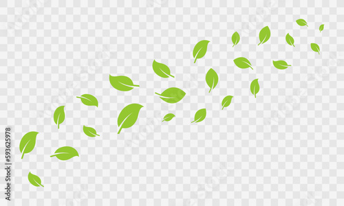 Set of flying green foliage. Motion fresh leaves. Wind raises leaf. Stream of leaves.