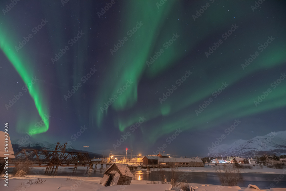 Incredible northern lights scenery seen over the landscape of Carcross, Yukon Territory in winter season with beautiful green bands in the sky. 