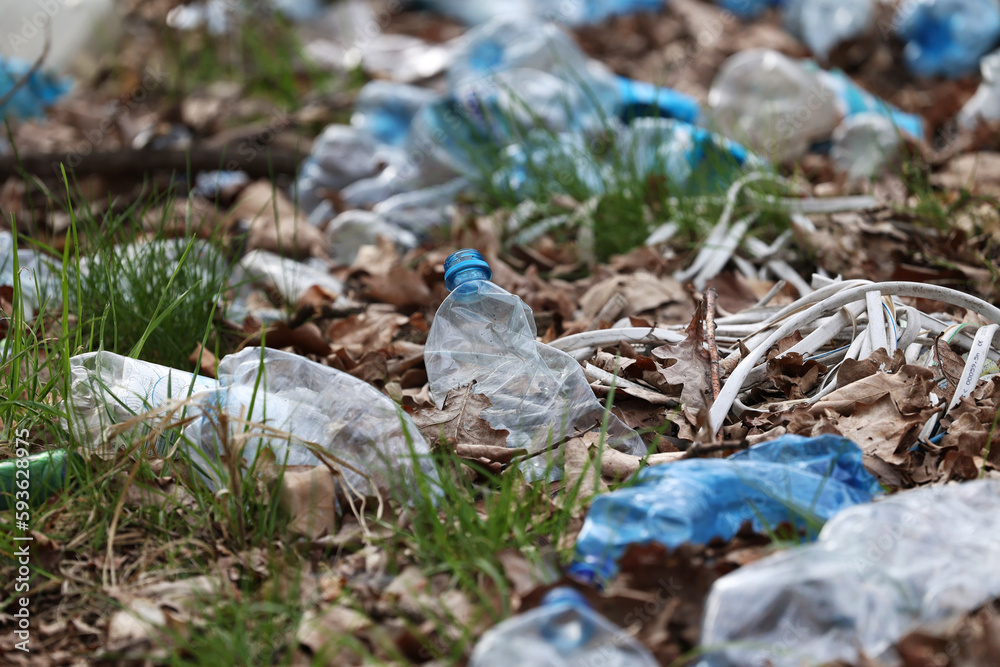 Plastikowe butelki zanieczyszczają środowisko w lesie. Śmieci.  - obrazy, fototapety, plakaty 