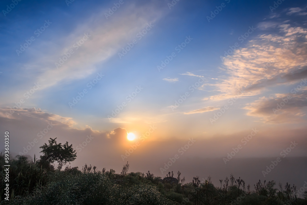 SPRINGTIME. Alta Murgia National Park in Apulia, Italy: rural landscape in the fog at dawn.