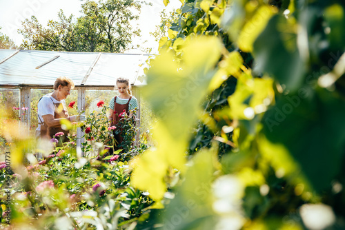 Teenager grandchild helping to her elderly grandmother at the greenhouse in summer outside. Granddaughter and her pensioner senior granny working together at countryside. photo