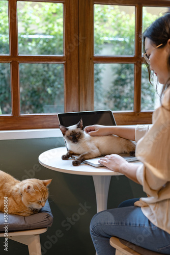 Woman playing with cat while working at home..