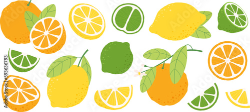 Oranges lemons fruits, lemon slice and half. Orange blossom branch, fresh fruit for juice and vitamin diet. Lime nature raw, racy vector clipart