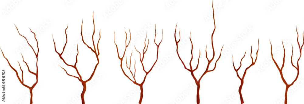 Fototapeta premium Bare tree, branches without leaves or flowers. Autumn trees, nature forest winter landscape graphic elements. Vector isolated branch