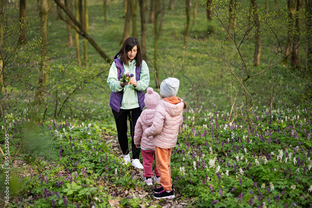Mother with two daughters pluck a spring bouquet of flowers on forest. Outdoor leisure concept. Mother with two daughters pluck a spring bouquet of flowers on forest. Outdoor leisure concept.