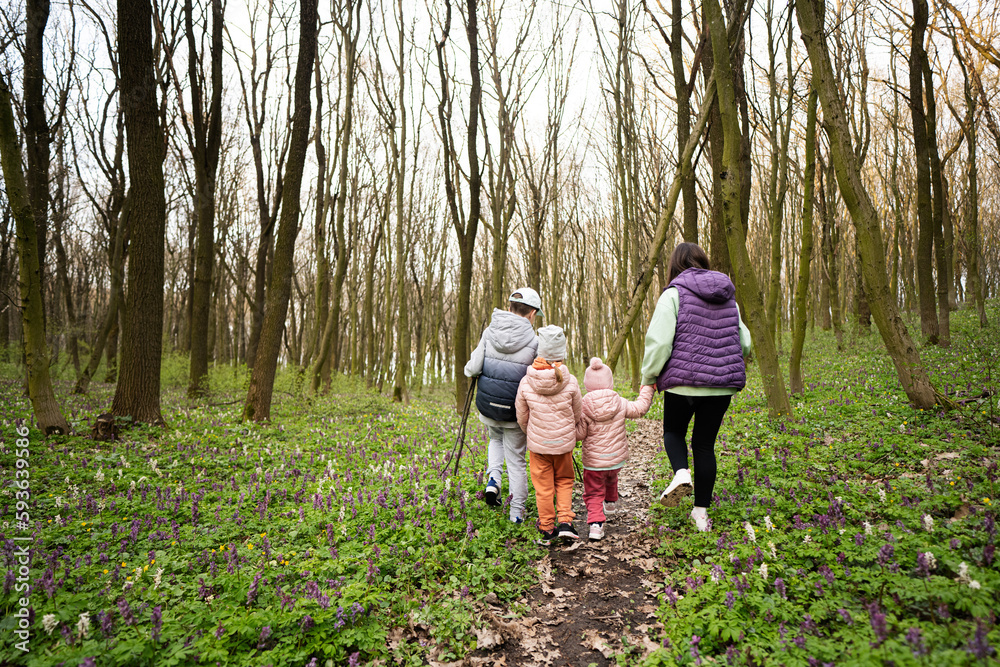 Back view of three kids holding hands with mother walking on forest trail. Outdoor spring leisure concept. Back view of three kids holding hands with mother walking on forest trail. Outdoor spring leisure concept.