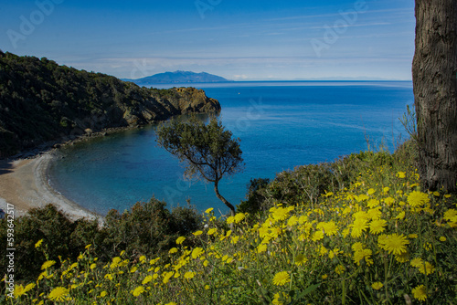 CALA MORESCA photo