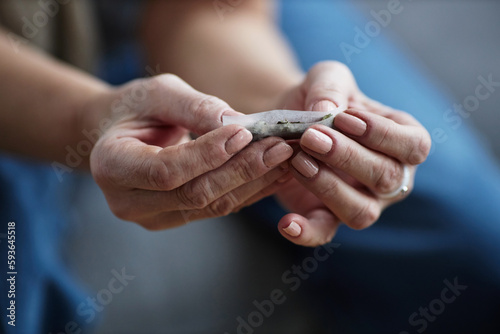 Close up of female hands rolling up cigarette for therapeutic purpose and medical treatment, copy space