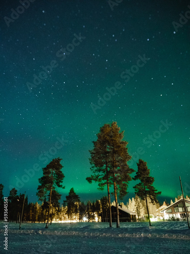 Northern lights, forest and cabins in Levi ski resort, Kittilä, Lapland, Finland