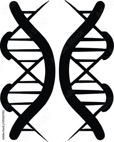 DNA double helix