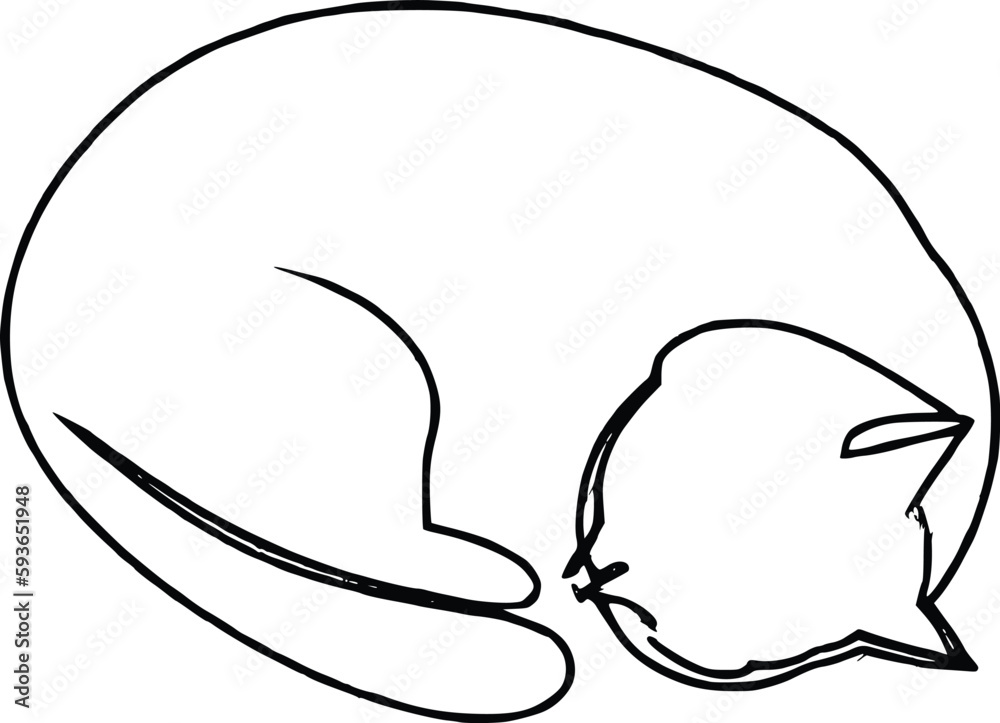 Fototapeta premium sleeping cat