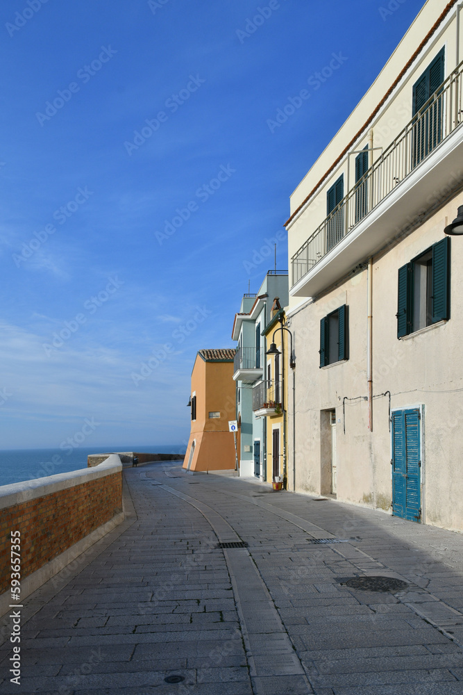 A narrow street in Termoli, a seaside town in the province of Campobasso in Italy. A narrow street in Termoli, a seaside town in the province of Campobasso in Italy.