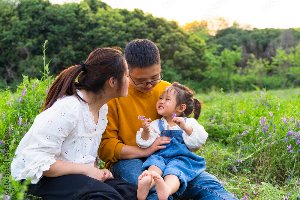 happy asian family with little girl enjoy the day in the spring field happy asian family with little girl enjoy the day in the spring field