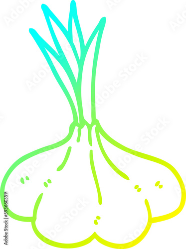 cold gradient line drawing cartoon garlic bulb