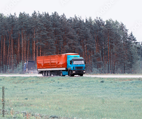 Wallpaper Mural A trucker driver transports cargo on a truck with a semi-trailer in rainy weather against the backdrop of a forest. Copy space for text Torontodigital.ca