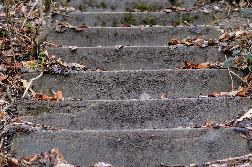 old stone stairs with moss and fallen leaves, closeup of photo old stone stairs with moss and fallen leaves, closeup of photo