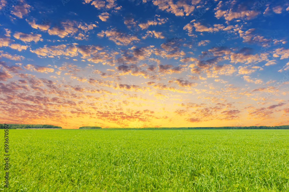 Photo of a idylic landscape, colorful sky and fresh, green grass..
