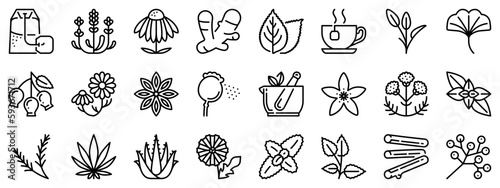 Line icons about infusions and tisanes on transparent background with editable stroke.