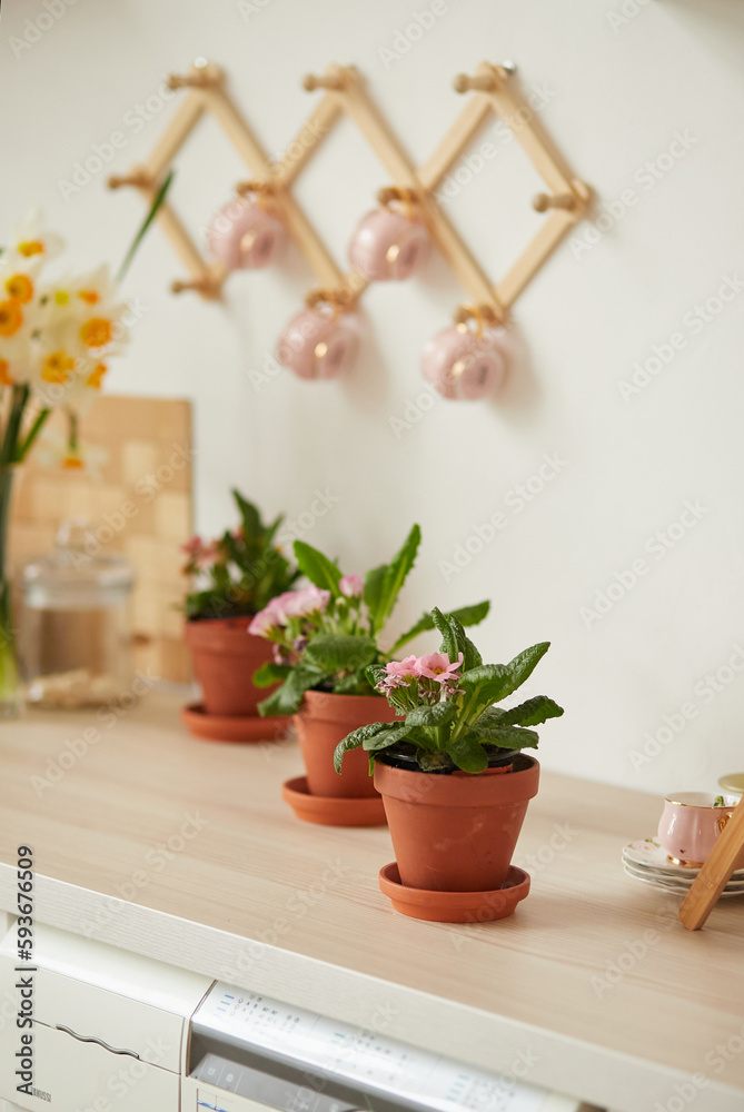 Fototapeta premium Flowers in pots on a light table. White simple modern scandinavian style kitchen, kitchen details. The concept of home comfort. The concept of International Women's Day on March 8. Home decor design