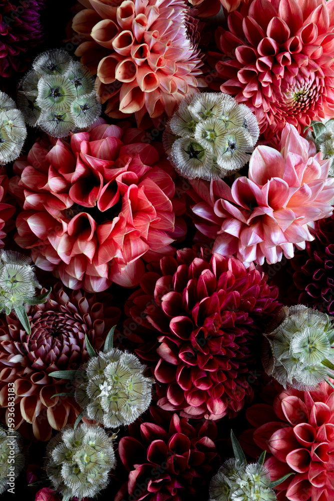 Beautiful flower backdrop Beautiful flower backdrop