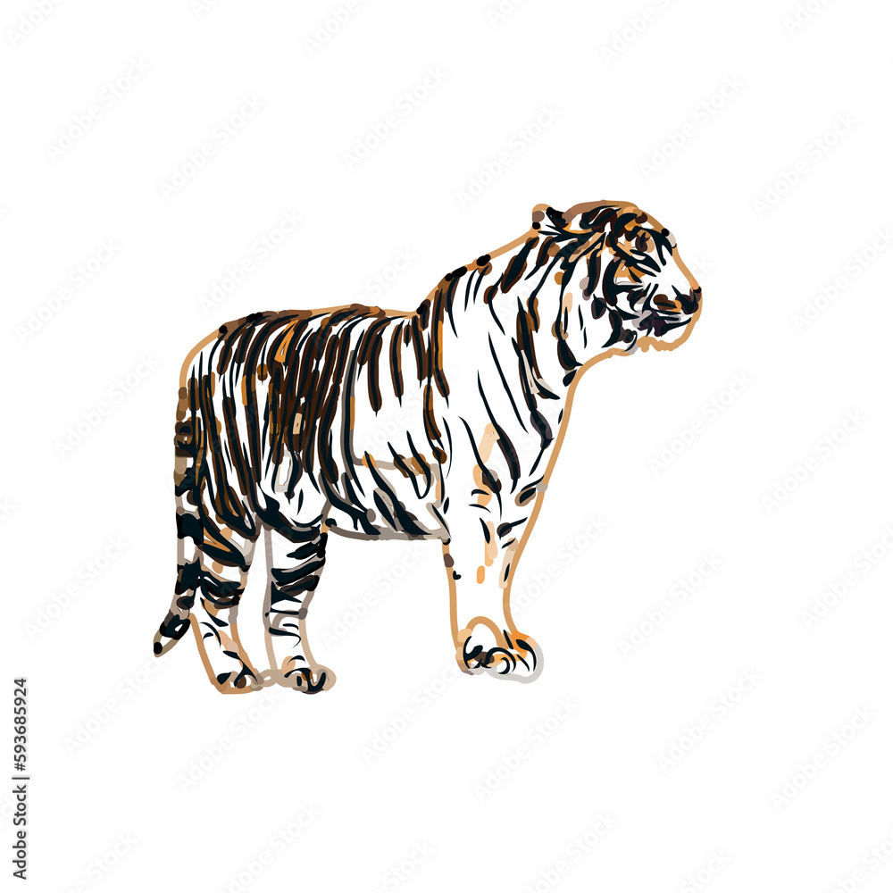 Obraz premium tiger color sketch with transparent background