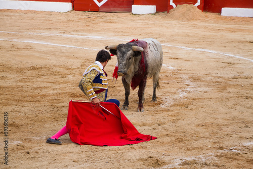 Torero en traje de luces haciendo faena