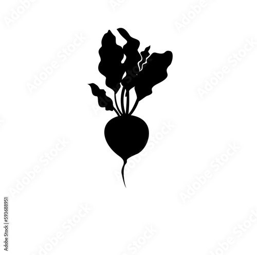 turnip silhouette vector illustration