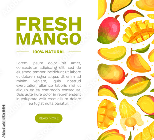 Ripe Mango Banner Design with Bright Tropical Fruit Vector Template