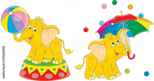 Funny baby elephant performing tricks with a big striped ball and a colorful umbrella with dropping small balls in a merry circus show, vector cartoon illustration isolated on a white background