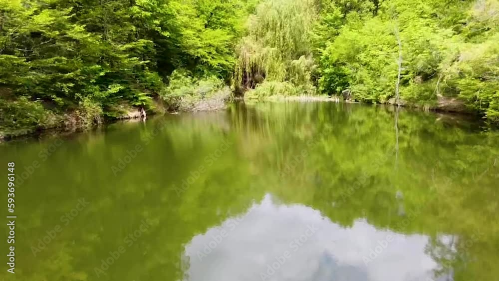 flight over a beautiful lake in the forest flight over a beautiful lake in the forest