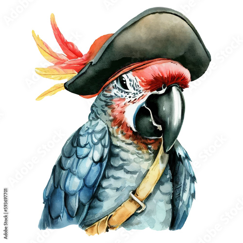 pirate parrot watercolor illustration 