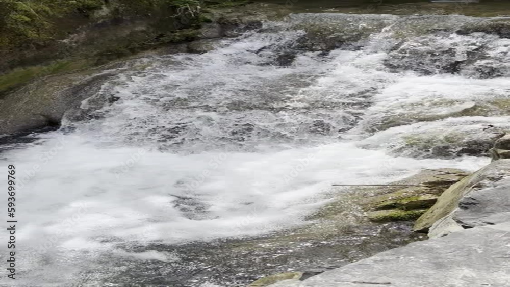 Little river flowing naturally through a forest in Switzerland