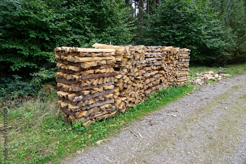 wood pile with cut firewood in the forest in front of a gravel road. green forest in the background. cloudy day without people
