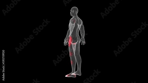 3D male figure rotates on black bg. Spread of virus. Virus in body. Business advertising backdrop. Science concept. For title, text, presentation. 3D animation.