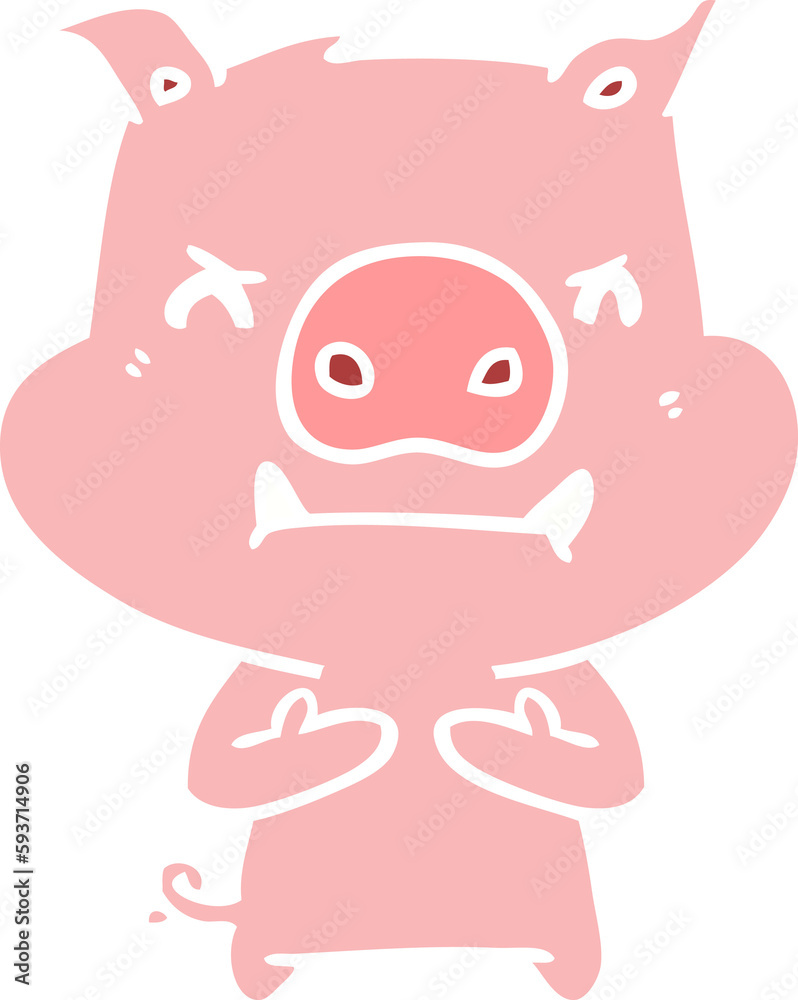 angry flat color style cartoon pig angry flat color style cartoon pig